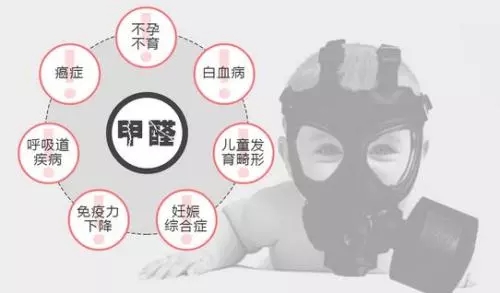 宿舍公寓床家具 宿舍公寓床家具